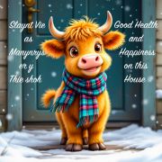 HEALTH AND HAPPINESS BLANKET (2)