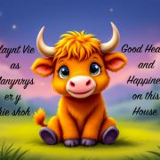 HEALTH AND HAPPINESS BLANKET